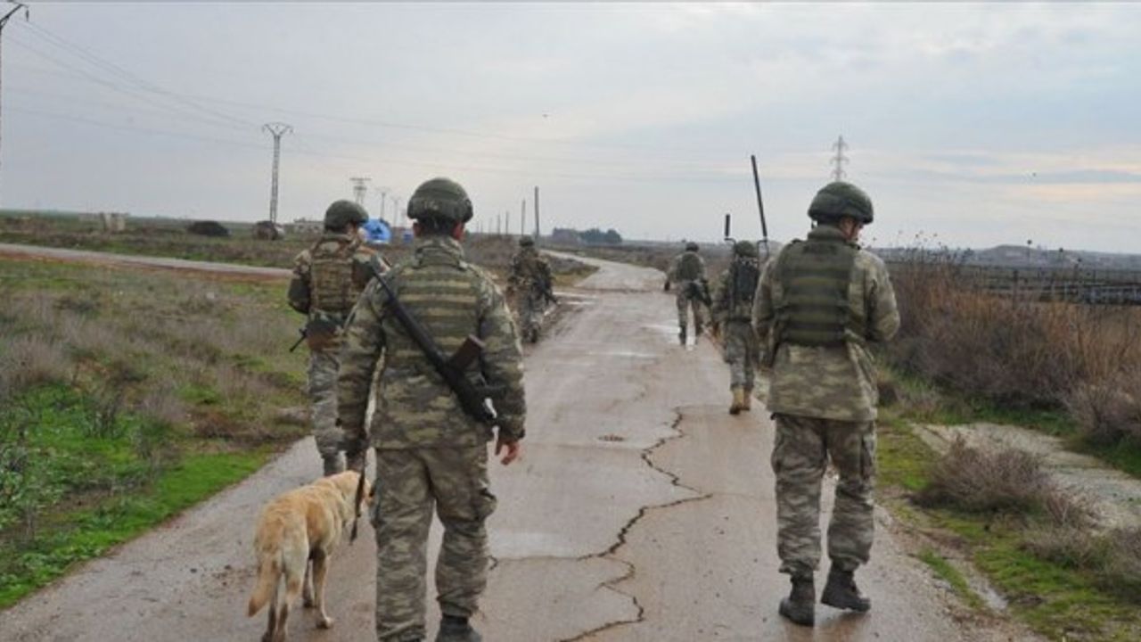 Barış Pınarı bölgesinde 2 PKK/YPG'li terörist yakalandı