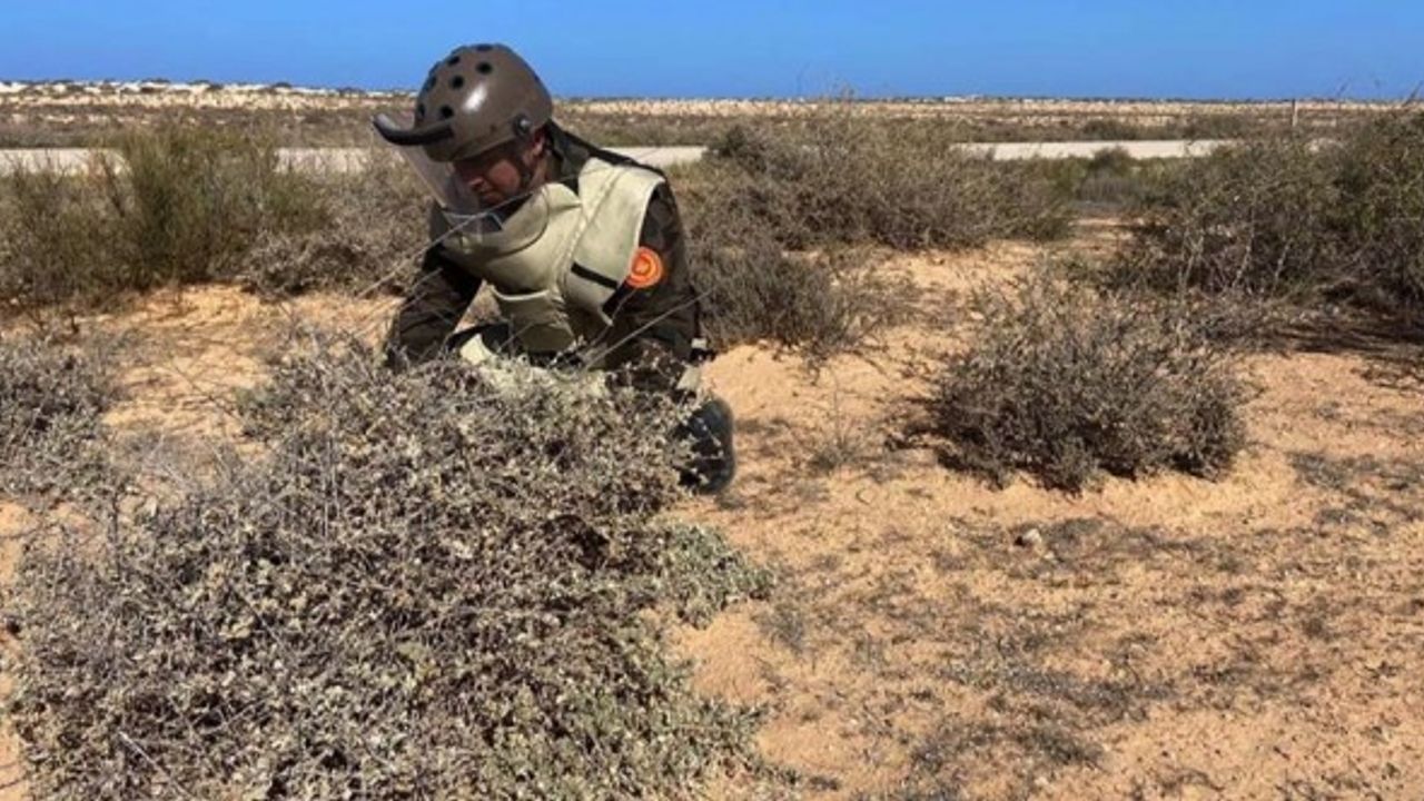 Libya ordusu Sirte-Misrata yolunu mayınlardan temizliyor