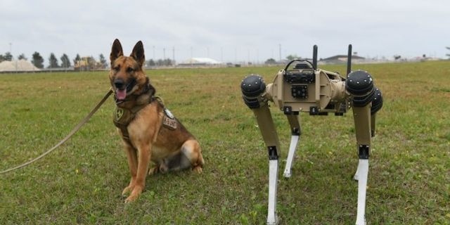 ABD ordusu robot köpekleri konuşlandırdı