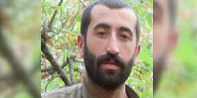 Bitlis'te gri listedeki bir terörist etkisiz hale getirildi