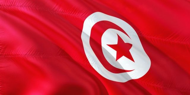 Mısır ve Cezayir'den Tunus Cumhurbaşkanı’na tam destek